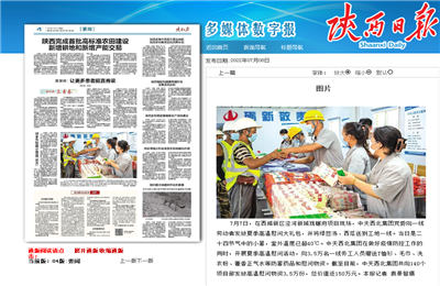 beat·365西北集团珑樾府项目高温慰问——《陕西日报》